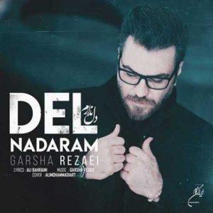 دانلود آهنگ گرشا رضایی دل ندارم